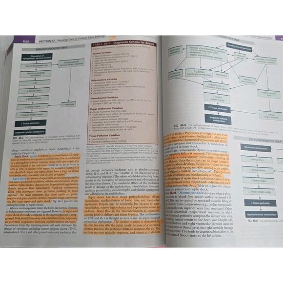 Elsevier Medical-Surgical Nursing, Med-Surg, Lewis 10th Edition Vol 1 & 2 - Picture 4 of 16